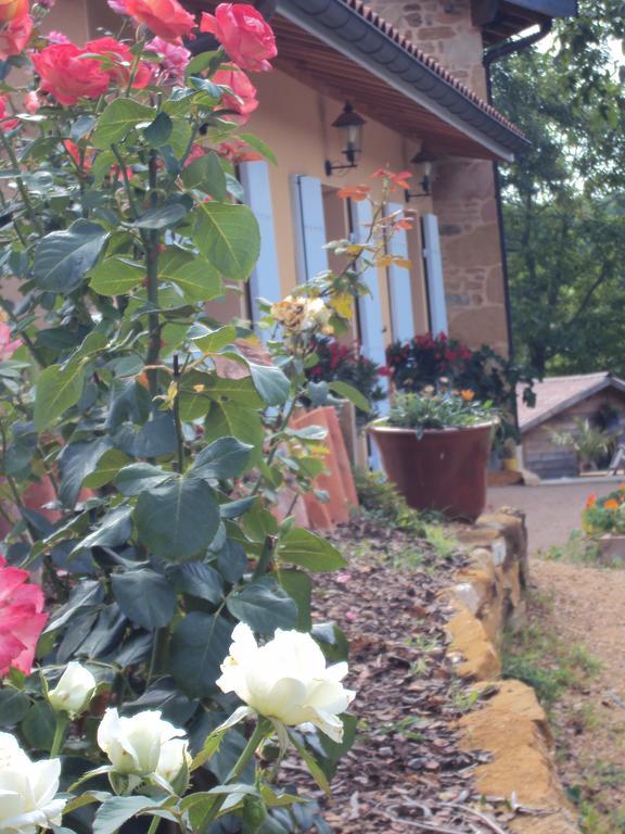 Maison D'Hotes Du Vert Vallon Theize Eksteriør billede